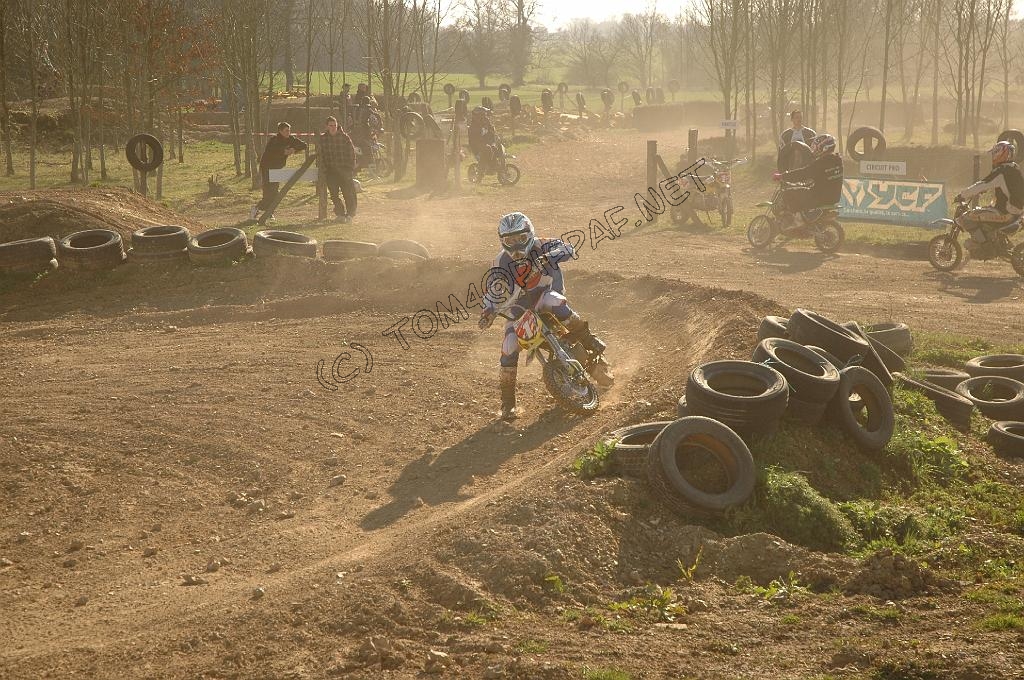 pitbike (32).JPG